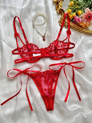 Heart Embroidery Mesh Semi Sheer Lingerie Set- ED