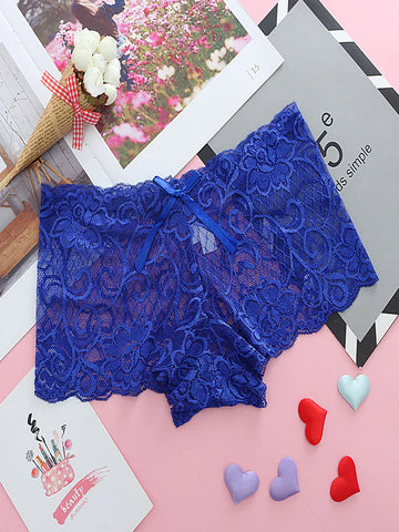 Crochet Lace Sheer Mesh Panty