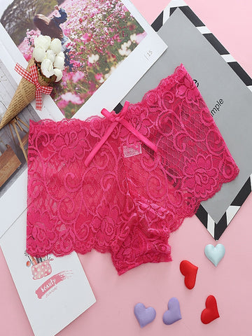 Crochet Lace Sheer Mesh Panty