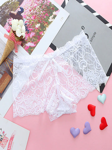 Crochet Lace Sheer Mesh Panty